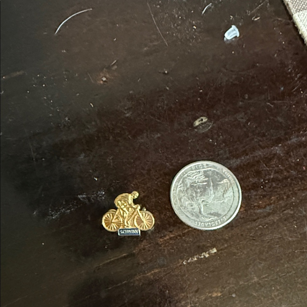 Schwinn Gold Cyclist Pin